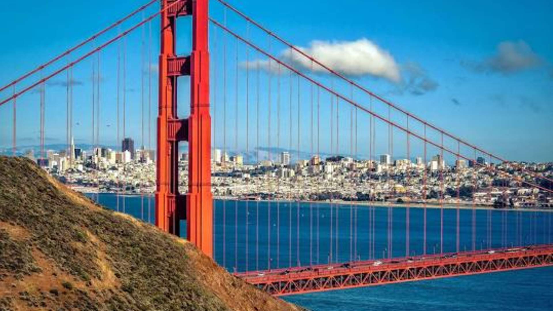 SF Bay Area