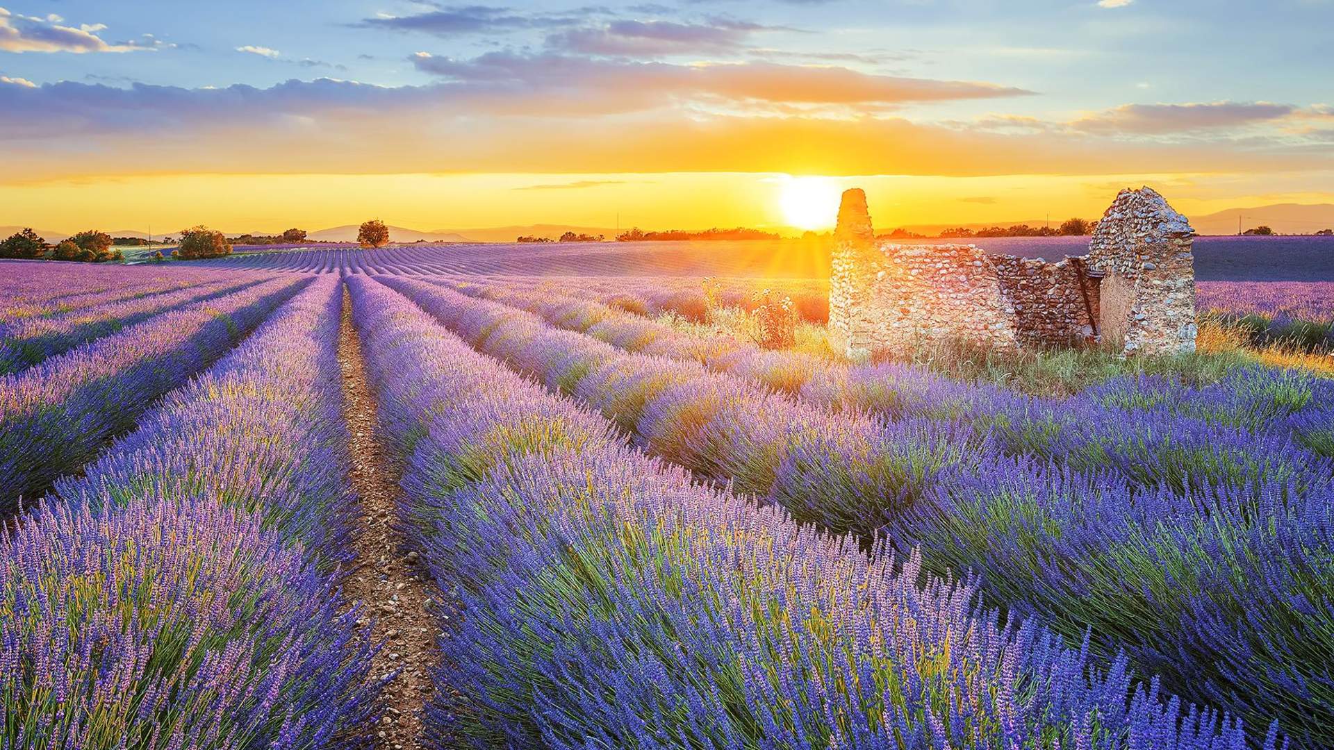 Provence