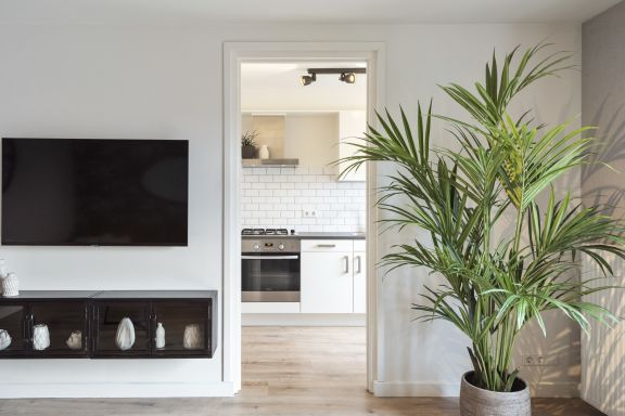 Beach and Dunes Apartment