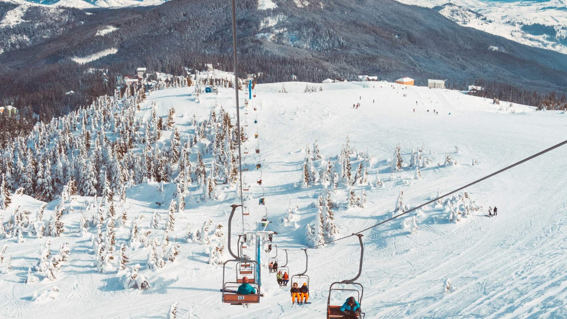 Vars