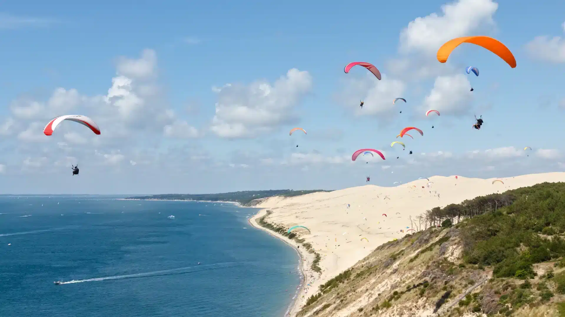 Parapente