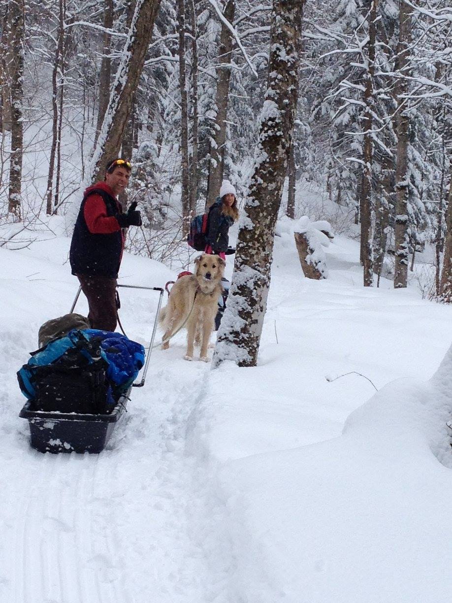 Sentier en forêt aux Refuges Perchés, dans le Parc Éco-Laurentides