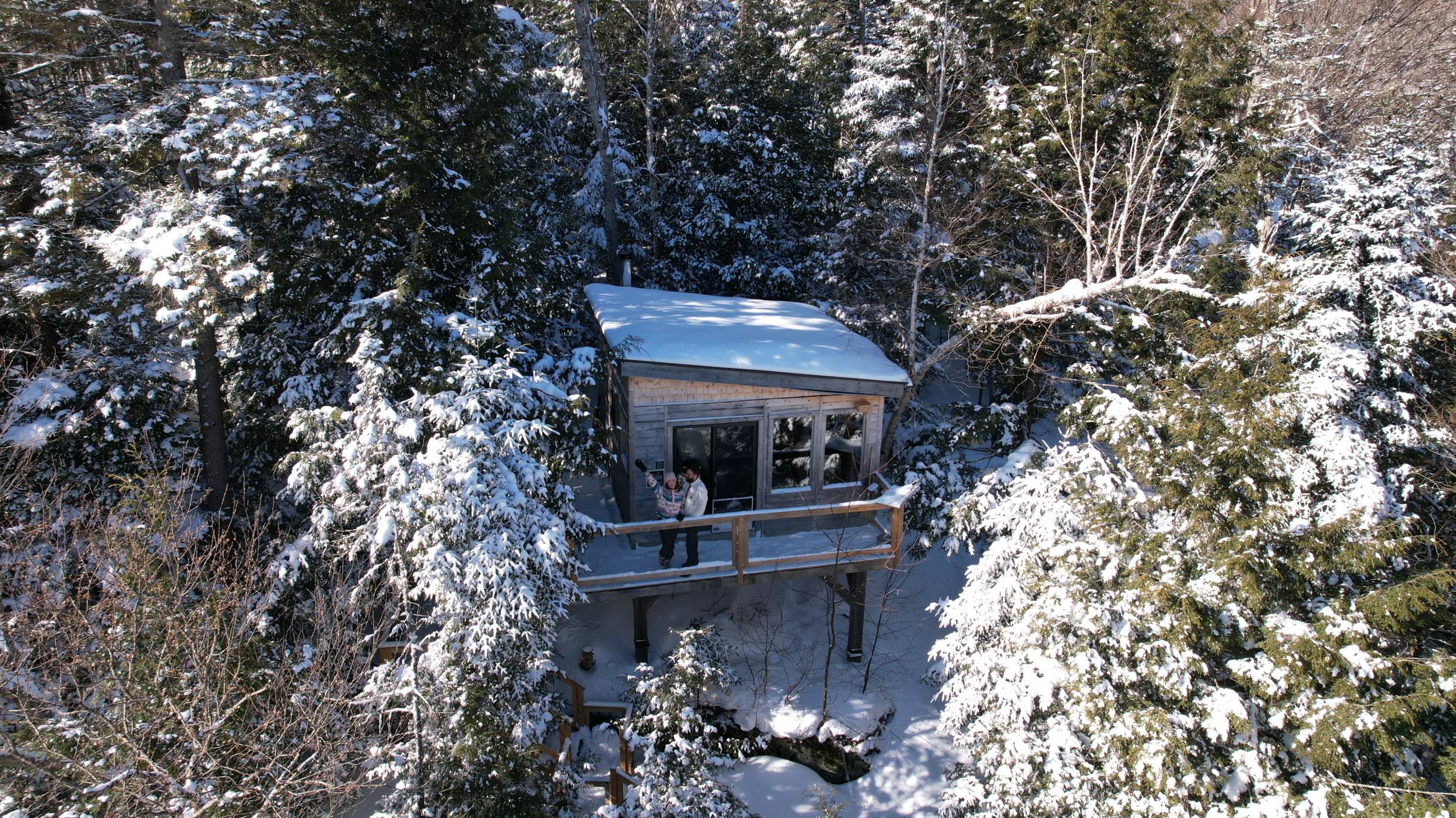 Passerelles et escaliers autour des arbres aux Refuges Perchés