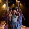 Lisa Kerr and the Company