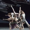 Artists of The Royal Ballet in Aeternum