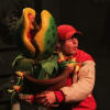 Duncan Birt as Seymour carrying the growing Audrey II