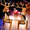 Seamus O'Neill (Father Christmas) with Reindeer
