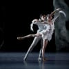 Stephan Bourgond as the Prince and Anja Behrend as the White Swan