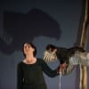 Fiona Shaw
