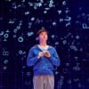 Joshua Jenkins in The Curious Incident of the Dog in the Night-Time