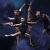 Phoenix Dance Mixed Programme 2015