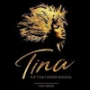 Tina, musical biography of pop legend Tina Turner
