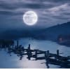 Dear Esther