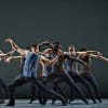 Artists of Ballet British Columbia in 16 + a room