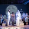 The company with (centre) Wade McCollum as Count Carl von Cosel and Alyssa Martyn as Elena