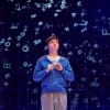 The Curious Incident of the Dog in the Night-Time 2015 production photo