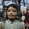 The Little Giant Girl