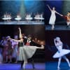 English National Ballet presents three critically acclaimed productions, Nutcracker, Swan Lake and Manon, at the London Coliseum