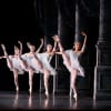 Theme and Variations: artists of Birmingham Royal Ballet