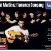 Daniel Martinez Flamenco Company