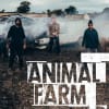 Opening in Northampton: Animal Farm