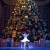 The Nutcracker