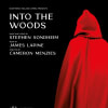 Poster image for Northern Ireland Opera's Into the Woods