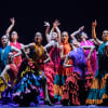 De lo Flamenco