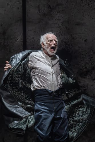 Ian McDiarmid Shines in Stark King Lear at Sheffield Crucible