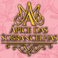 ÁPICE DAS SOBRANCELHAS SALÃO DE BELEZA ÁPICE DAS SOBRANCELHAS SALÃO DE BELEZA
