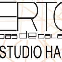 VERTON STUDIO HAIR SALÃO DE BELEZA