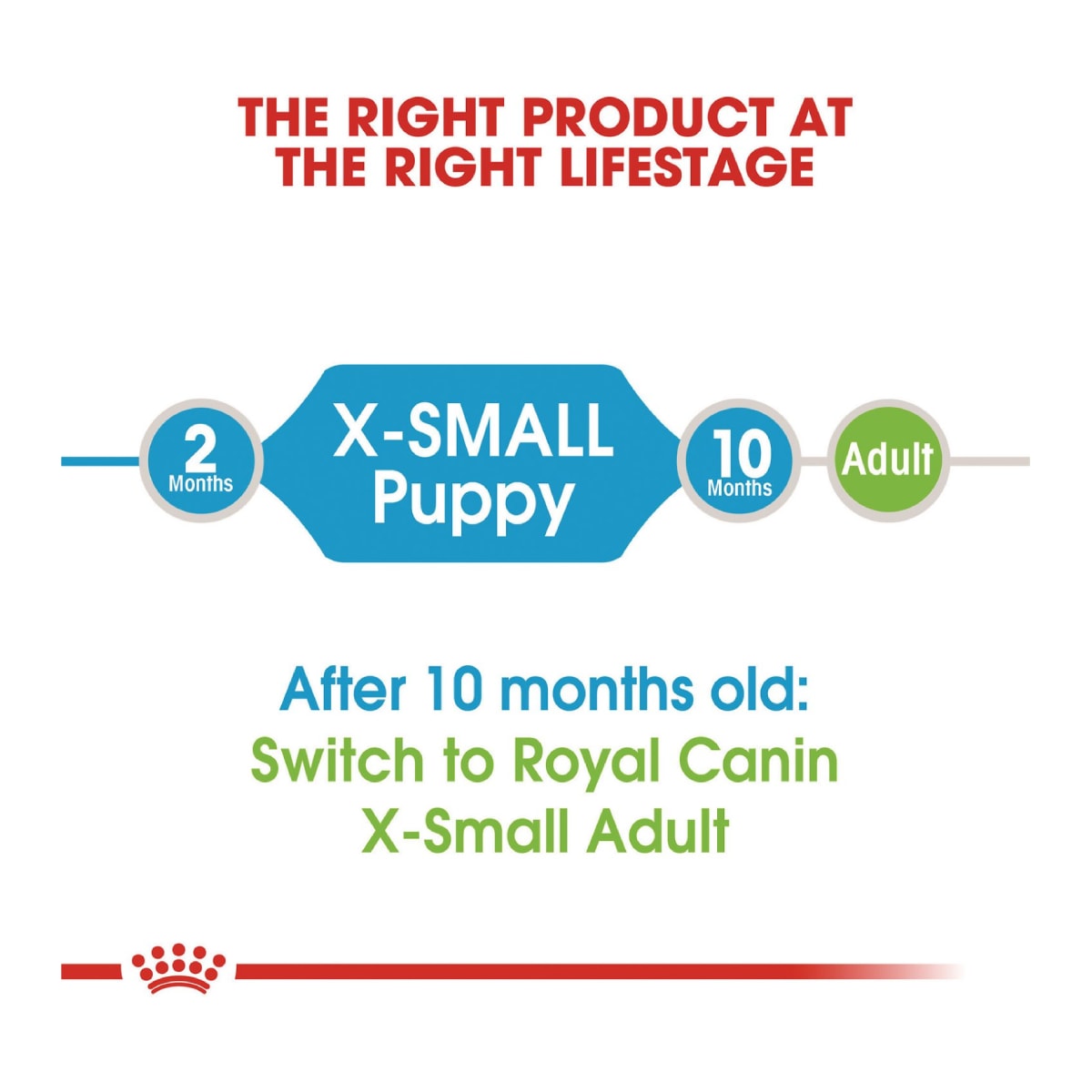 Royal Canin โรยัล คานิน อาหารเม็ด สำหรับลูกสุนัข สายพันธุ์จิ๋ว อายุ 2 - 10 เดือน_5