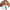 Beau Lyon