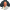 SCOTT WILLIAMS