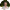 Scott Mackey