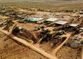 Accommodation & Tourism Business in White Cliffs