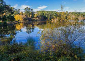 Restaurant Business in Daylesford