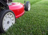 Home & Garden Business in Townsville City