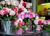 Retail Business in Bentleigh