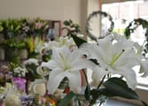 Retail Business in Malvern East