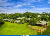 Real Estate Business in Byron Bay