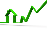 Professional Services Business in Canberra