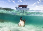 Accommodation & Tourism Business in Baird Bay