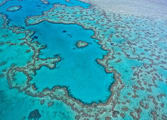 Accommodation & Tourism Business in Cairns City