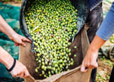 Rural & Farming Business in Toolleen