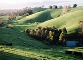 Accommodation & Tourism Business in Drouin