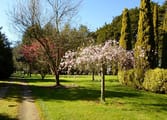 Accommodation & Tourism Business in Drouin