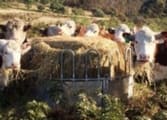 Rural & Farming Business in Armidale