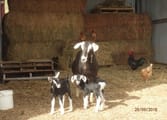 Rural & Farming Business in Port Macquarie