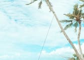 Restaurant Business in Daintree